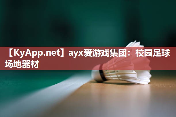 ayx爱游戏集团：校园足球场地器材