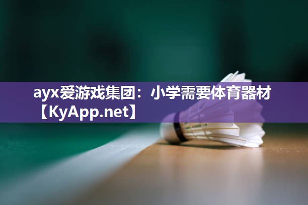 ayx爱游戏集团：小学需要体育器材