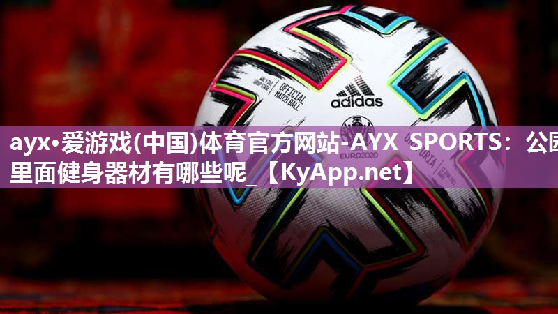 ayx·爱游戏(中国)体育官方网站-AYX SPORTS：公园里面健身器材有哪些呢_