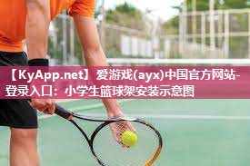 小学生篮球架安装示意图