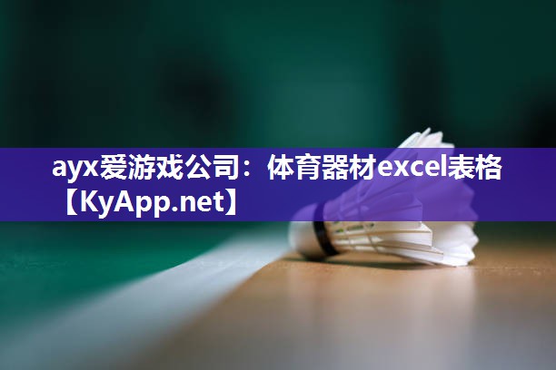 体育器材excel表格